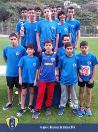 Campeões_13