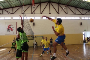 Voleibol